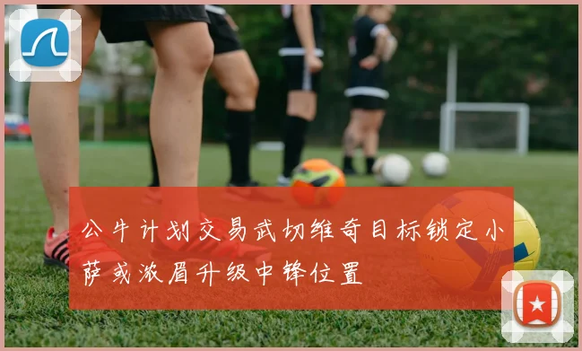 公牛计划交易武切维奇目标锁定小萨或浓眉升级中锋位置