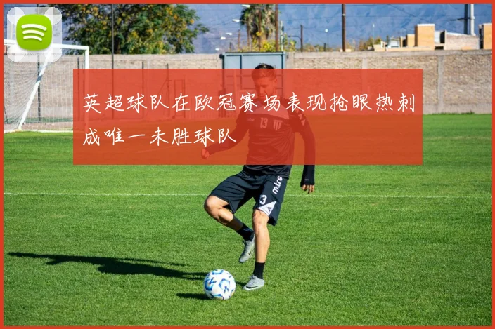 英超球队在欧冠赛场表现抢眼热刺成唯一未胜球队