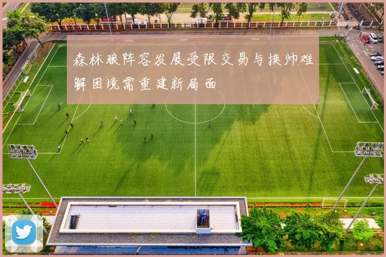 森林狼阵容发展受限交易与换帅难解困境需重建新局面