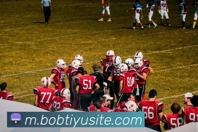 BOB体育平台生态图